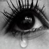 topul_dudj