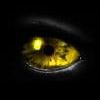 Aliende