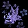 mery_moid