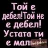 radvoicho2