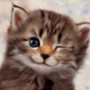 l777i@abv.bg
