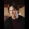 Winchester.