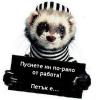 sinichko