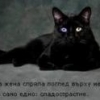 that.Familiar.kitty.Merry
