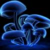 MushroomHead