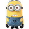 softruter
