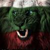 Shkumba